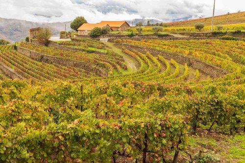 The Essential Packing List for Portugal’s Wine Country, According to an Editor