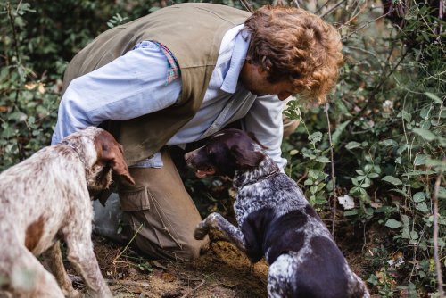 You Can Go Truffle Hunting by Bike on This Dreamy Tuscan Day Trip
