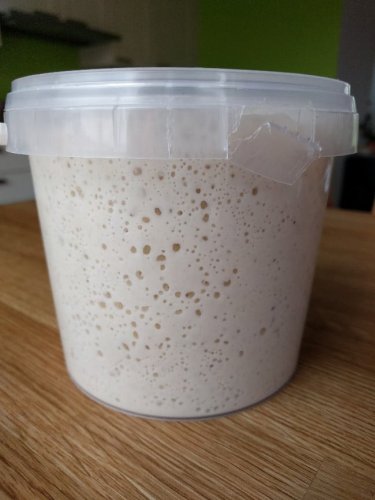 How to Make and Maintain a Sourdough Starter