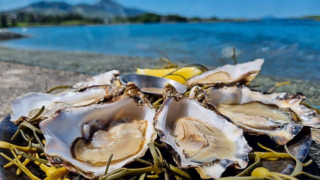Irish Seafood Guide - How to Eat the Best Seafood In Ireland