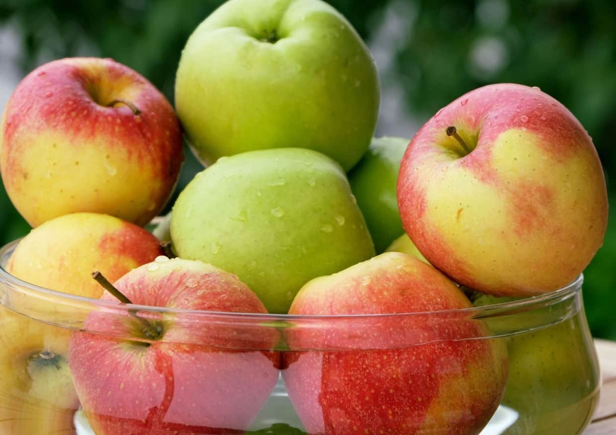 Sweet and Savory: Apple Recipes For Fall