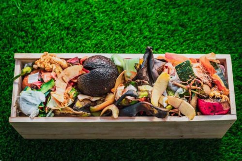 New to composting? You’re not too late to start this spring