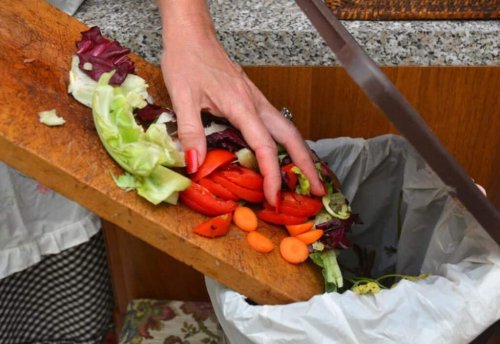 Stop Food Waste Day is today and every meal counts