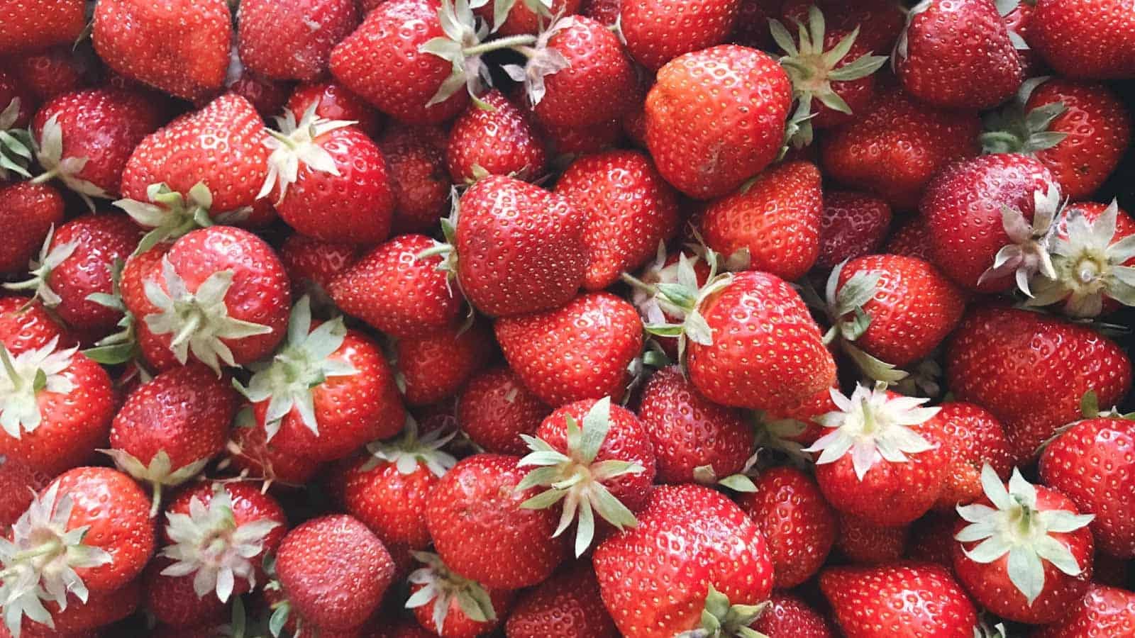 Try These 13 Strawberry Recipes to Kick Off Spring