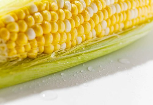 Summer’s sweetest crop: How to freeze corn on the cob