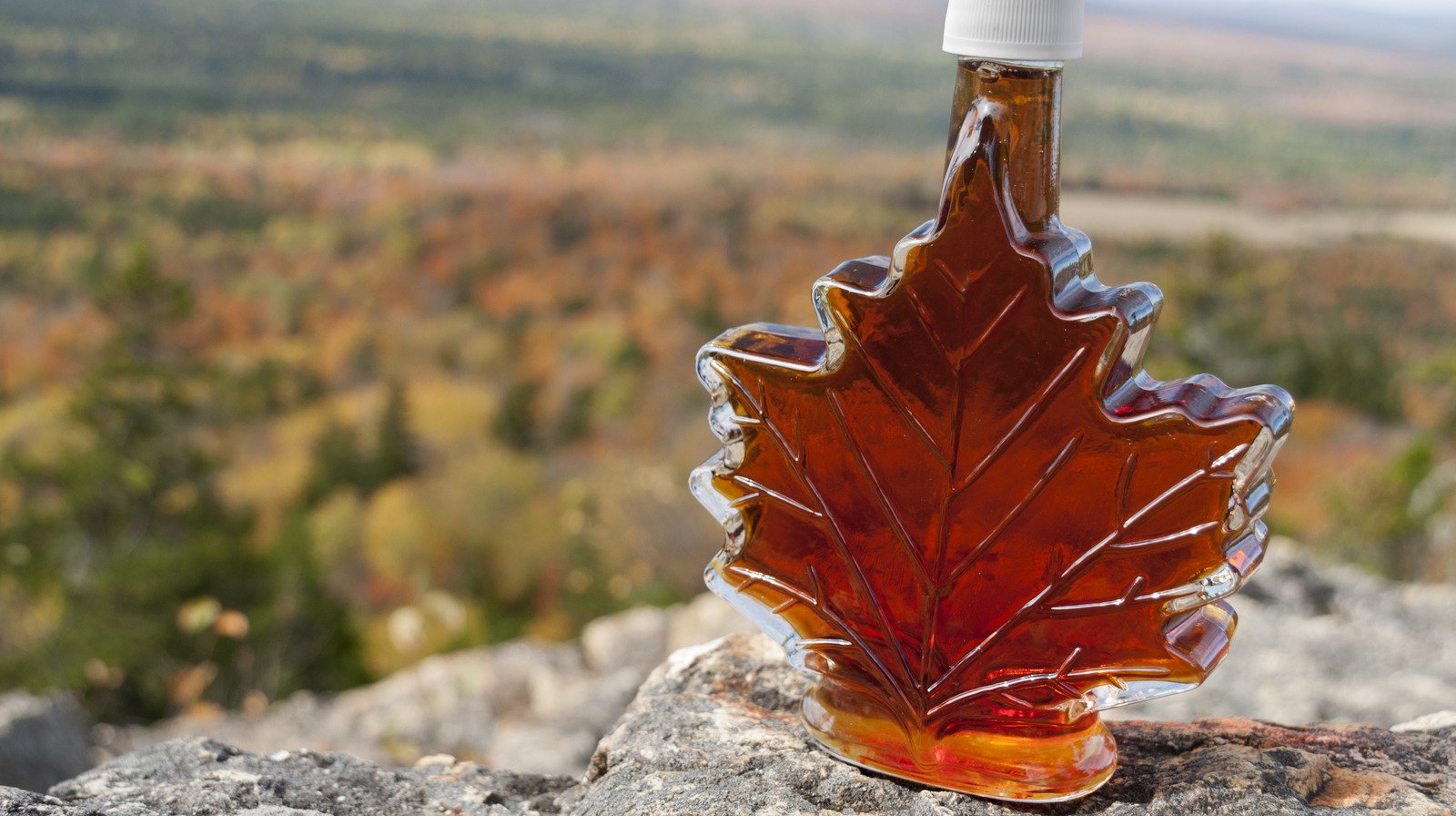 The Laborious Reason Maple Syrup Is So Expensive