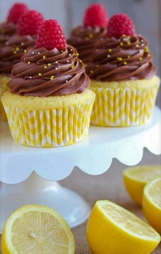 Limoncello Cupcakes with Nice Chocolate Frosting