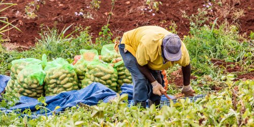 A Year of Challenges and Successes for Workers in the Food System