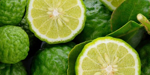 A Guide to Winter Citrus Varieties