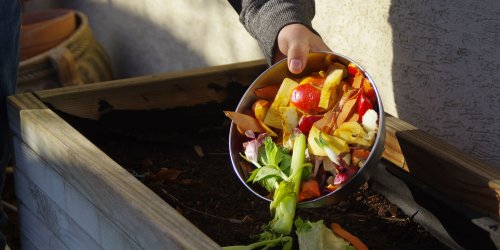 Build a Sustainable Compost Habit In Just Four Weeks