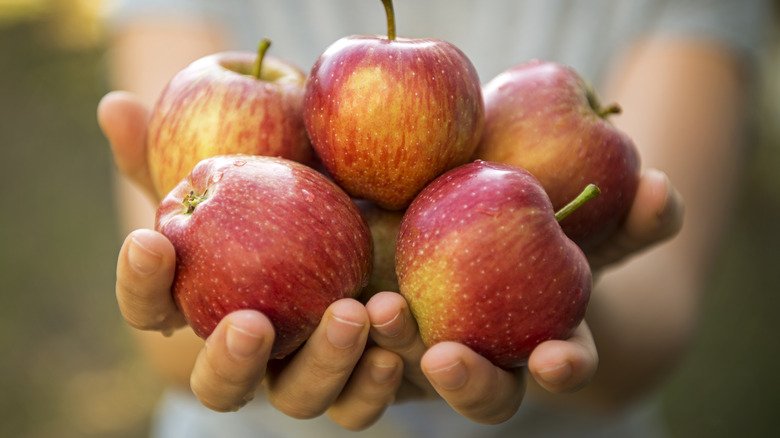 The Best Place To Store Apples Isn't Your Fruit Bowl