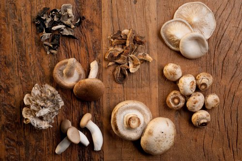 The Power of Mushrooms: Nutrition, Benefits, Risks of Edible Mushrooms