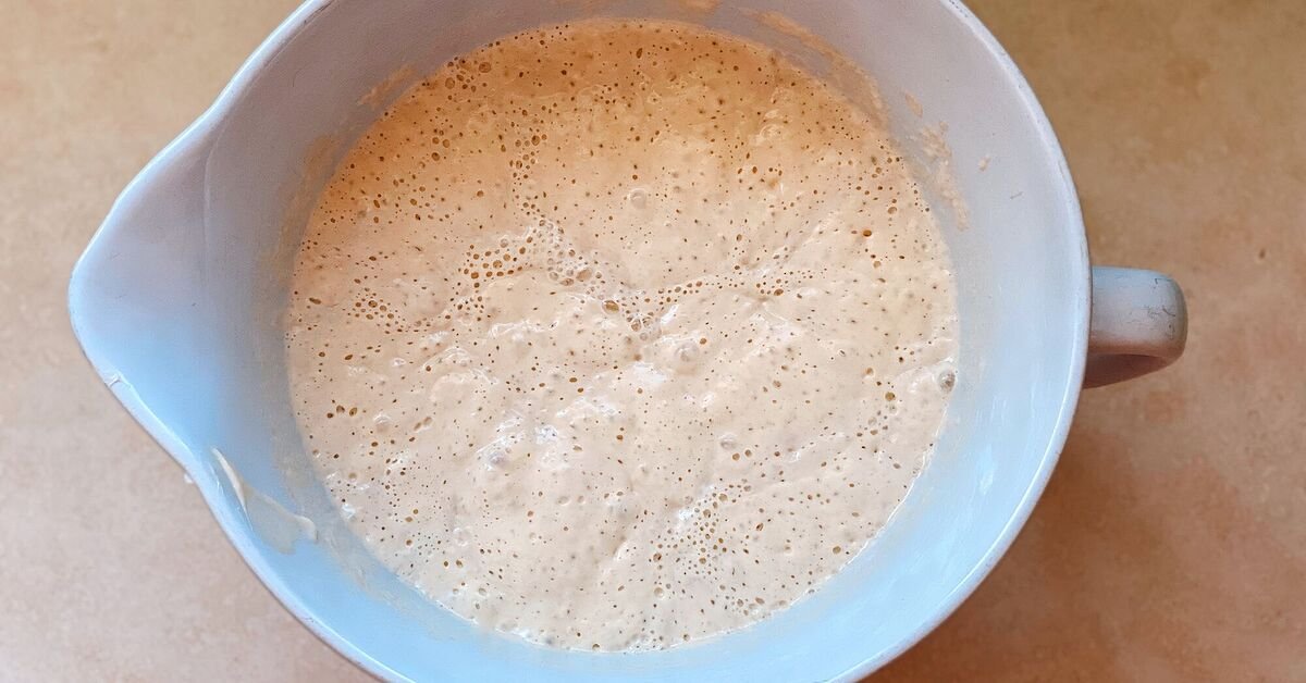 Sourdough Starter