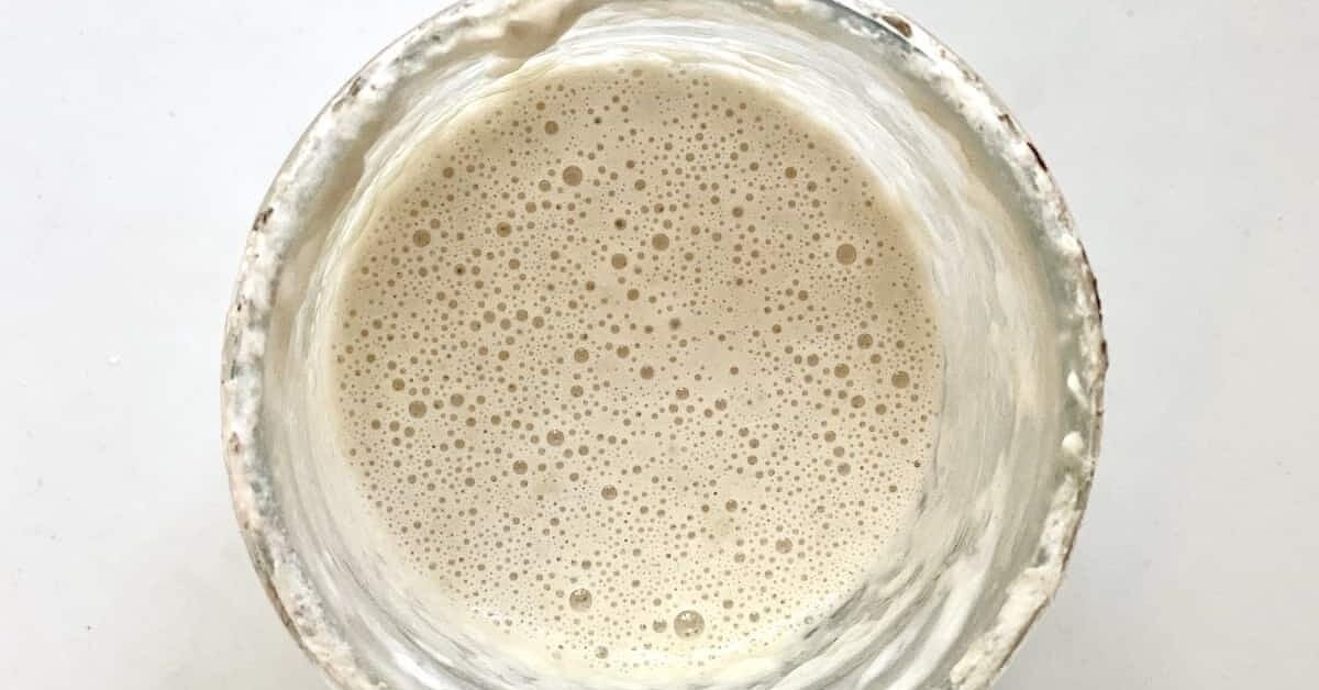 Learn How I Have Been Maintaining an Easy Sourdough Starter
