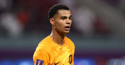 Arsenal's Cody Gakpo transfer chances boosted as PSV winger's stock falls amid Man United battle