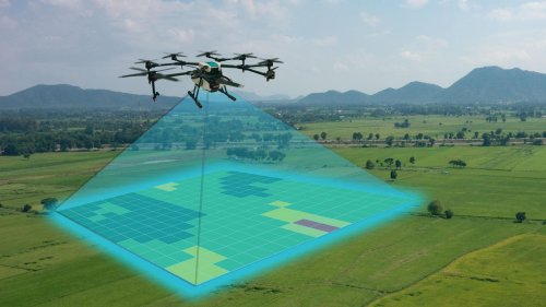 The Future Of Farming: AI Innovations That Are Transforming Agriculture
