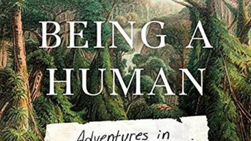 Book Review: The Dawn Of Humankind, And Charles Foster’s New Book, ‘Being A Human: Adventures In Forty Thousand Years Of Consciousness’