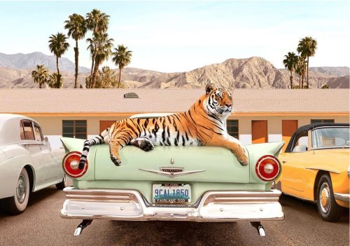 The Best Of Color Photography: 20 Gorgeous Winners Of 1839 Photo Awards