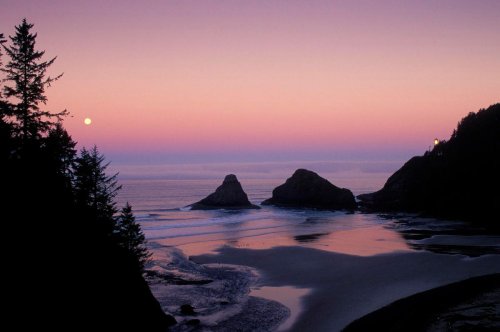 The Best Parks At The Oregon Coast