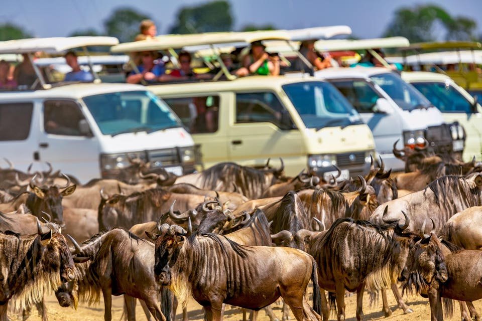 Think Beyond The Great Migration, 8 Ways To Do Africa Differently In 2026