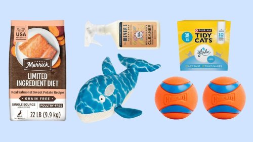 Amazon Pet Day 2025 Ends Soon: 38 Deals To Shop Before Midnight