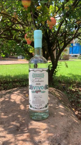 Siempre Tequila Forges New Ground With Vivo