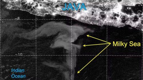 Mysterious Milky Seas Are Visible From Space