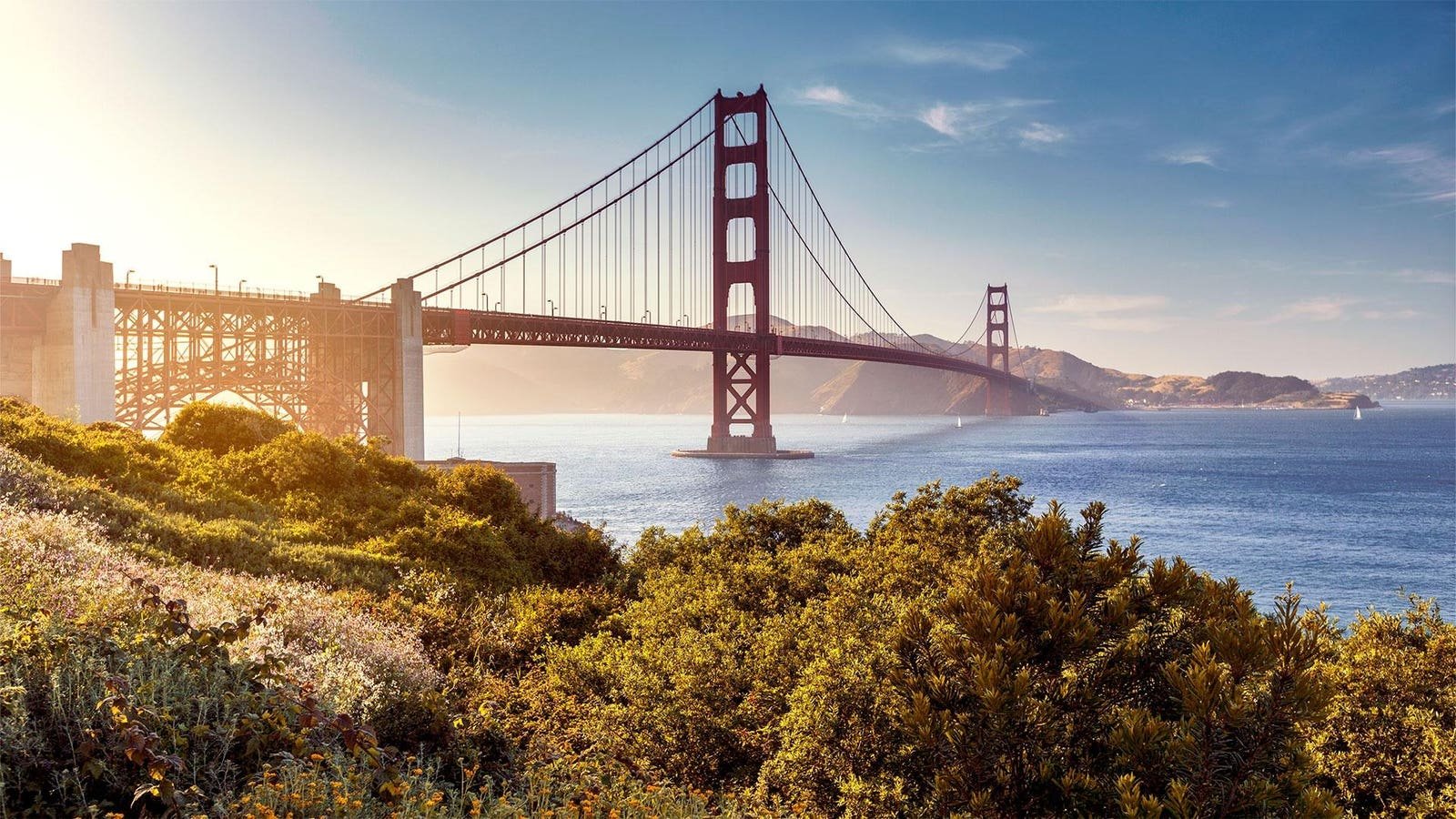The Countries With The Most Billionaires 2024