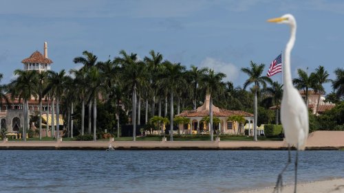 Trump Mar-A-Lago Special Master Review Shut Down By Appeals Court
