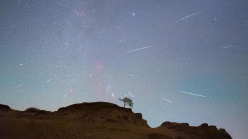 The Best Halley’s Comet Meteor Shower Has Begun—Here’s When To See It
