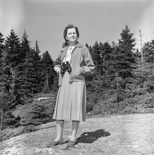 Silence And Wonder: Rachel Carson And The Power Of Words