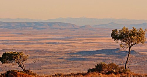 Safari: Consider South Africa’s Great Karoo Reserve To See The Big Five