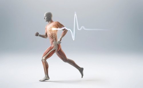 Let’s Dance: Structured Movement To Fine-Tune Our Human Neural Nets