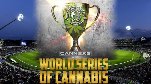 The World Series Of Cannabis And Burning Treez Festival By CANNEXS Are Coming