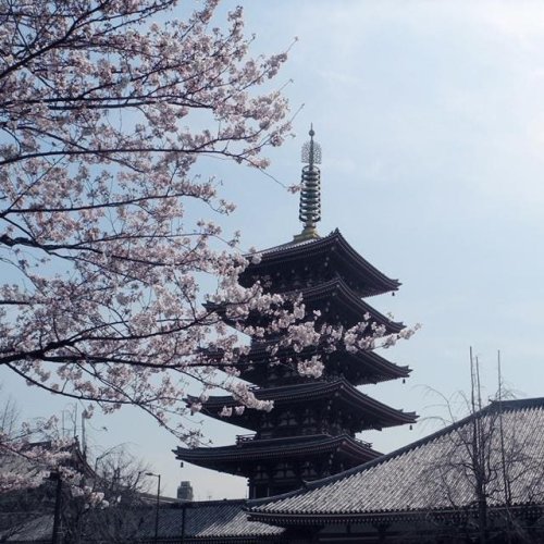 10 Tips For Traveling To Japan From A First-Timer