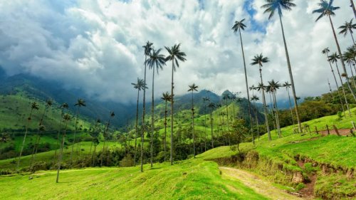 Travel Insurance for Trips to Colombia