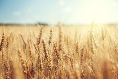 Reducing Emissions In The Food & Beverage Industry Requires Farmers To Make Progress