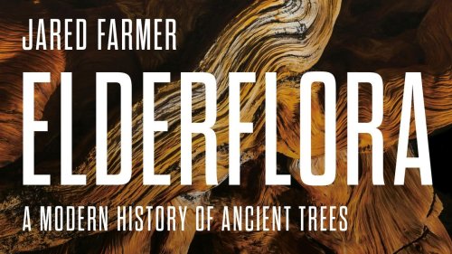 Book Review: Elderflora: A Modern History Of Ancient Trees