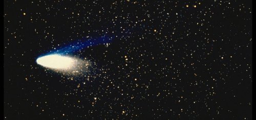 As Comet NEOWISE Fades Fast, A Halley-Type Comet Is Seen That May Peak During America’s Next Eclipse