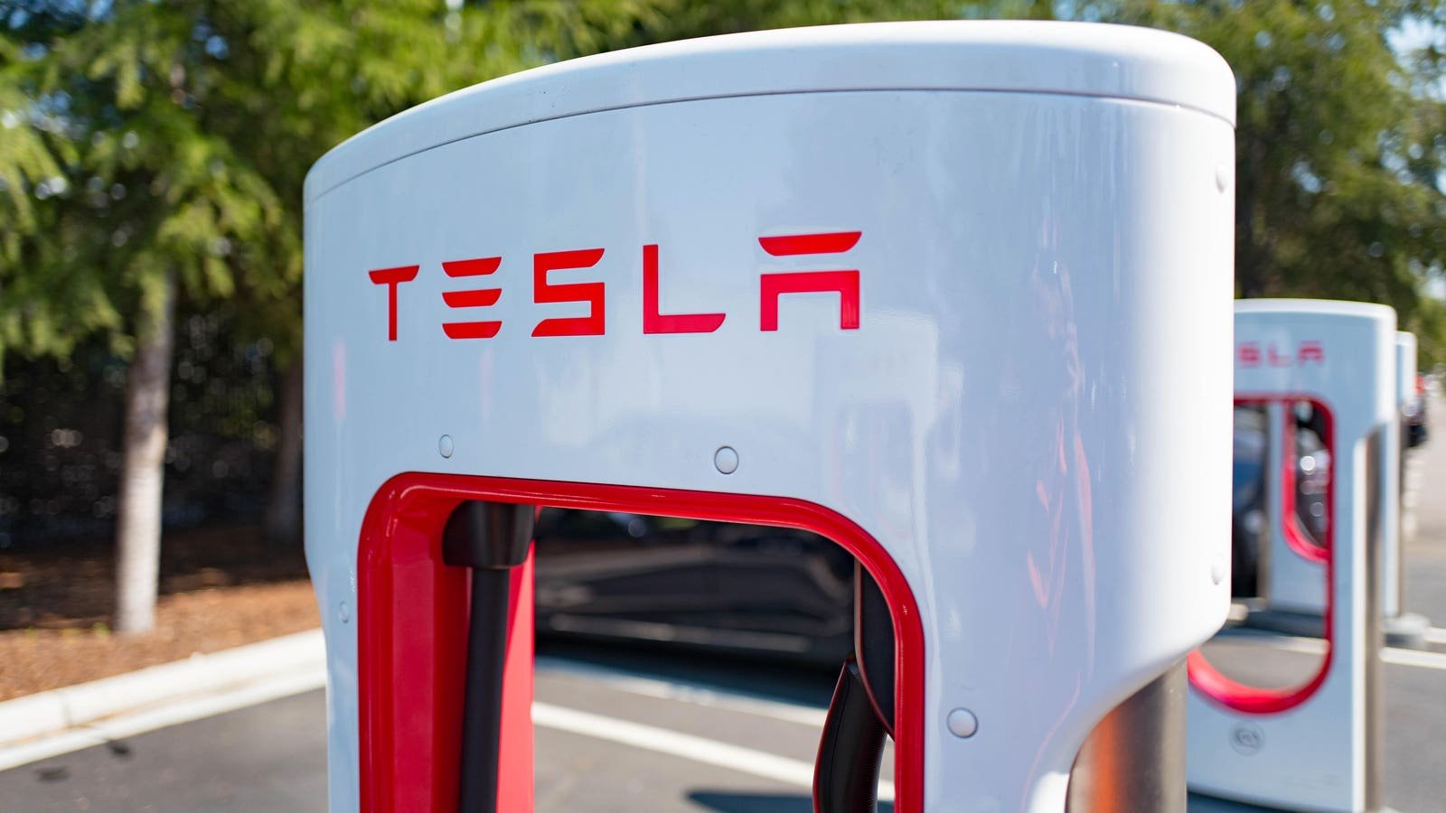 Elon Musk Denies Report That Tesla Will Cancel Its Low-Cost Electric Vehicle Option