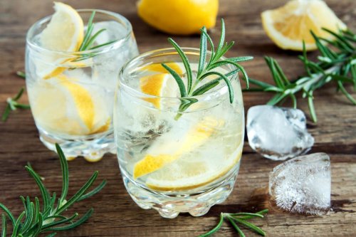 The World’s Best Gins For The Perfect Gin & Tonic