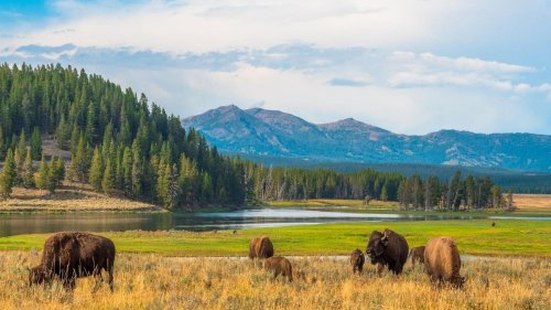 The Best Places To Stay In Yellowstone National Park