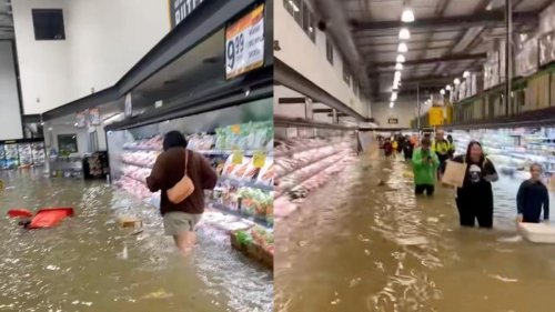 Viral Video Of New York Flooding In Grocery Store Actually From New Zealand
