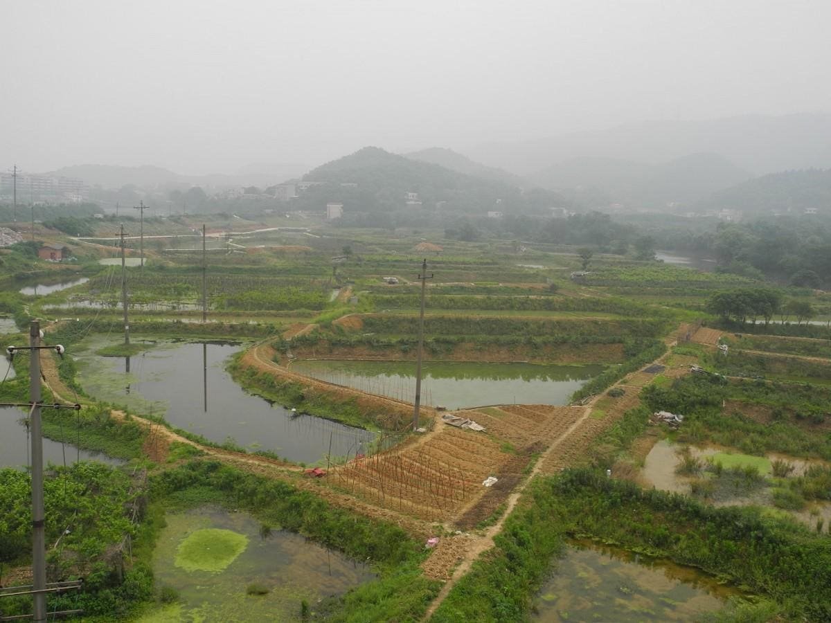 China Studies Articles mathewlim Flipboard