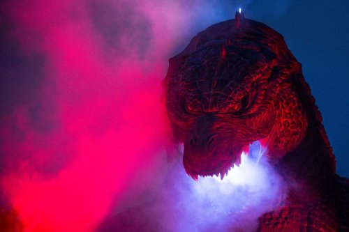 ‘Free Money’—Bitcoin ‘Godzilla’ Price Rally Is Being Eclipsed By These Small Cryptocurrencies