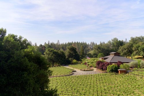How Neal Family Vineyards Achieved 1st Regenerative Organic Certification In Napa Valley
