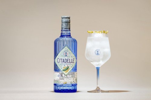 Nine Of The World’s Best New Gins Tried And Tested