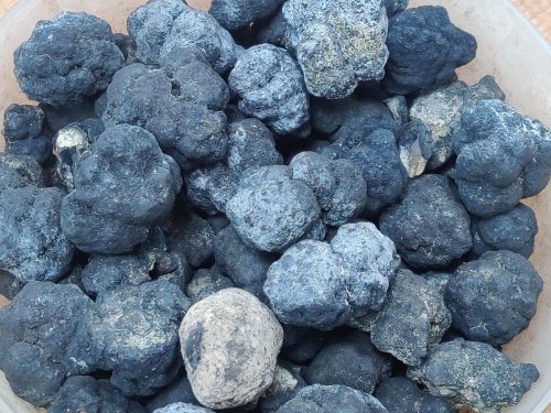 Trump Ignites A Fight Over Seabed Mining