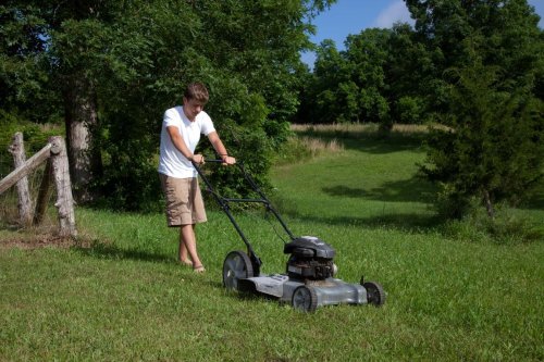 How To Start Your $2,000/Month Side Job As A Teen