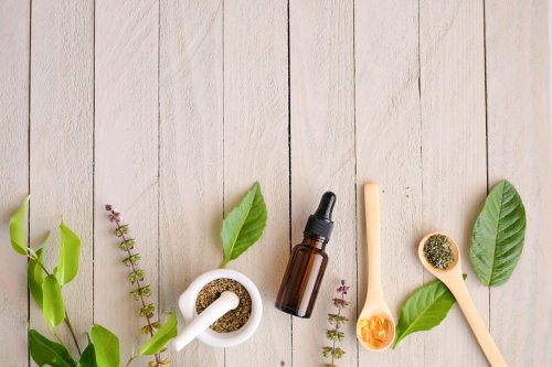 The Best Plant-Based Oils for the Skin